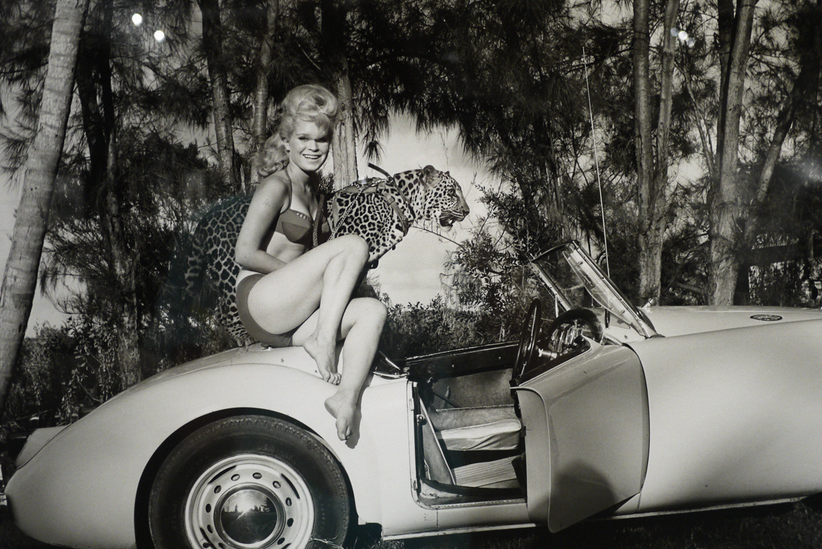 Bunny Yeager exhibit