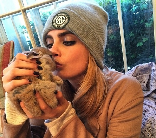 Cara Delevingne Pet Rabbit Has Instagram & 4 Other Models with Pets Galore