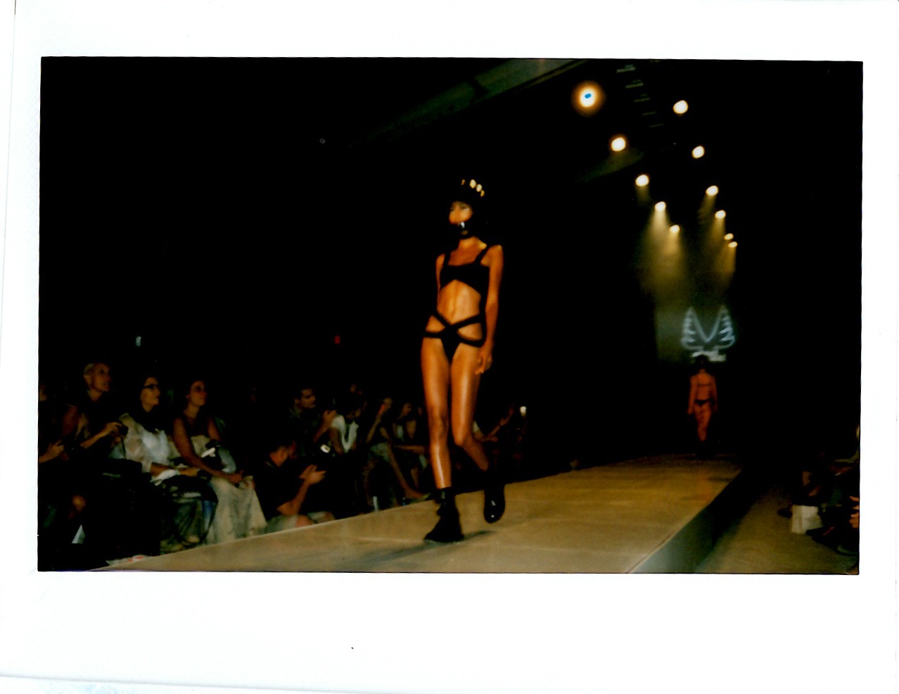 Minimale Animale Show