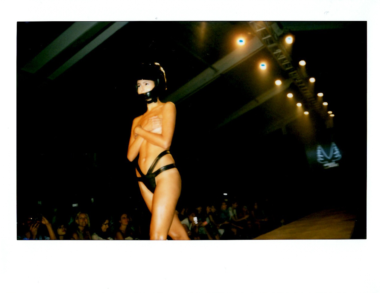 Minimale Animale Show