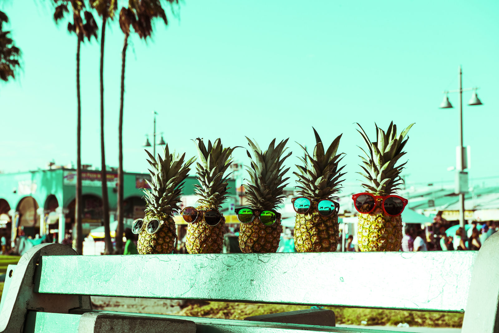 nic_del_mar_sunglasses_galore_mag