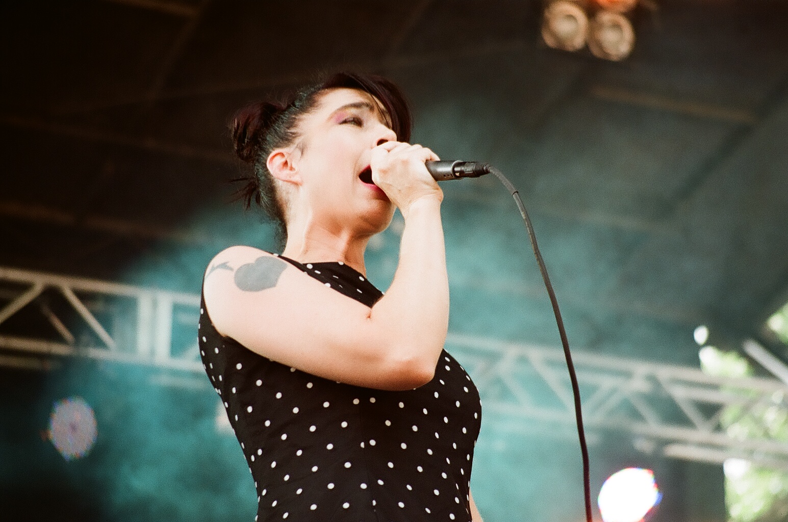 Julie Ruin - Wikipedia
