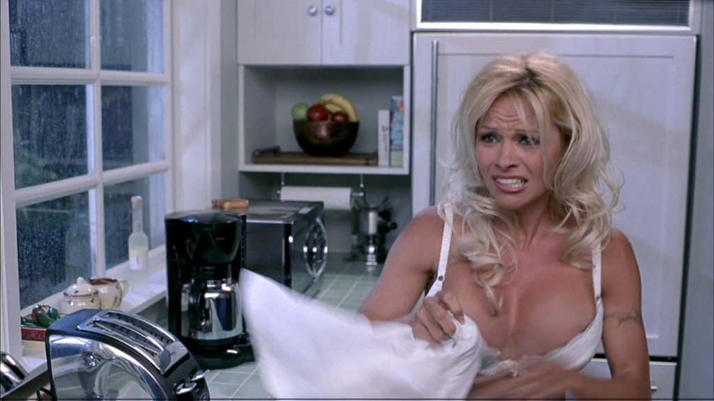 pam_anderson_scary_movie