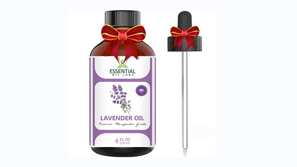 lavender-oil-essential-galore